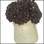 Chocolat blanc fourr d'un pralin, ce 'Champignon', comme 'le Crottin de cheval', est une spcialit de :