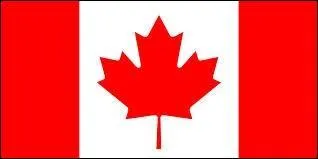 C'est le drapeau de quel pays ?