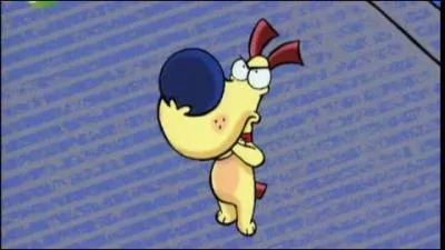 Ce chien a un secret. Mais lequel ?