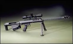 Quelle est cette arme ?