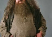 Quiz Harry Potter : spcial Hagrid
