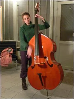 Quel est le standard global de taille de cet imposant instrument ?