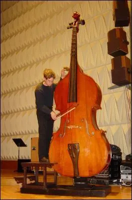 La contrebasse est-elle l'instrument le plus grave de la famille ?