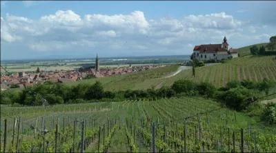 Quelle est cette superbe ville d'Alsace qui supporta le sige des armagnacs en 1444 et la guerre des Paysans en 1525, o vous verrez les ruines du chteau de Bernstein au coeur des vignes ?
