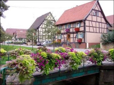 Quel est ce joli bourg du Haut-Rhin, un des plus fleuris du Sundgau possdant un lgant chteau et o vous pourrez dguster une carpe frite ?