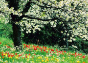 Quiz La nature au printemps