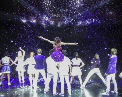 Elle adore cette marque (question n17) car :