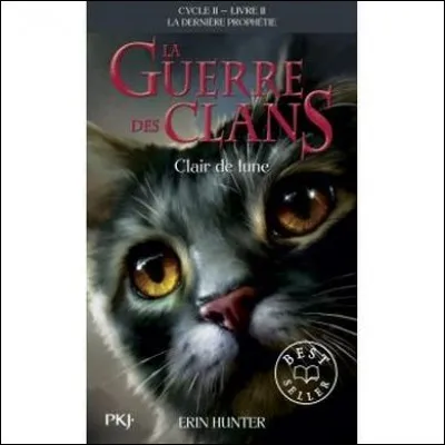 Dans la nouvelle couverture de "Clair de Lune", quel est le chat central ?