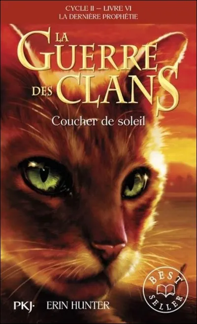 Dans la nouvelle couverture de "Coucher de Soleil", quel est le chat central ?