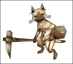 Comment s'appellent les animaux intelligents ?