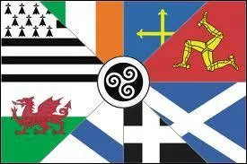 Ce drapeau regroupe les 8 nations celtes dont 2 de la pninsule ibrique. En haut : Breizh, Eire, (3. ? ), Ellan Vannin. En bas : Cymru, (6 ? ), Kernow, Alba.