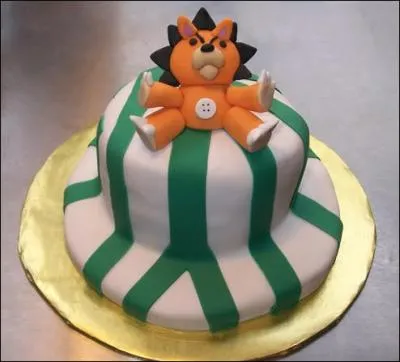 Que possdent le capitaine et le vice-capitaine en commun ?