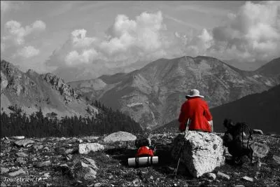 De qui sont les paroles  Si je veux, je peux m'en aller A Hawaii,  Woodstock ou ailleurs et y retrouver des milliers qui chantent pour avoir moins peur ?