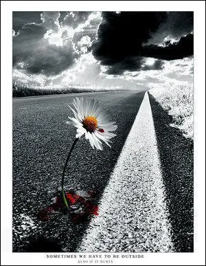 A qui s'adressait Michel Sardou dans sa chanson  Je pars  ?