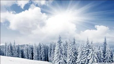 En hiver, c'est une couleur qui revient rgulirement :