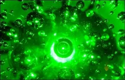 C'est la couleur de la nature.