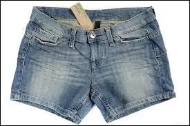 Quel vtement est-ce ?