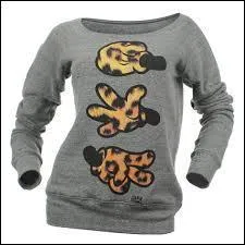 Quel vtement est-ce ?