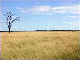 De quoi parlons-nous dans ce quiz ?