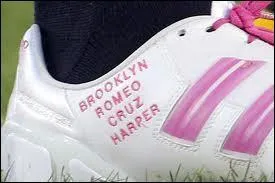 Voici une basket de la vraie vie. Grce aux indices, vous saurez que ce sont celles de... ?