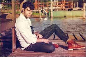 Quiz Violetta