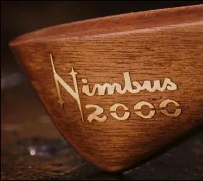 Pendant combien de temps Harry a-t-il pu contempler le manche de ce balai ?