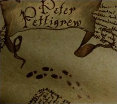 Des pieds indiquent que Peter Pettigrow marche dans ce couloir ; en l'occurrence, il aurait plutt fallu reprsenter :