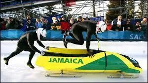 Quelle est cette discipline olympique ?