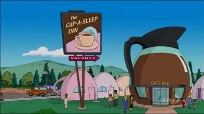 Qu'est-ce que l'htel  The Cup-A-Sleep Inn  ?