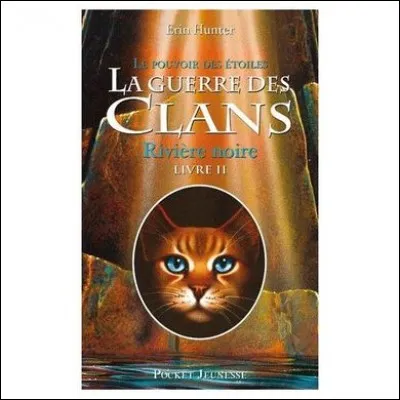 Dans l'ancienne couverture de "Rivière noire", quel est l'endroit représenté sur l'image de fond ?