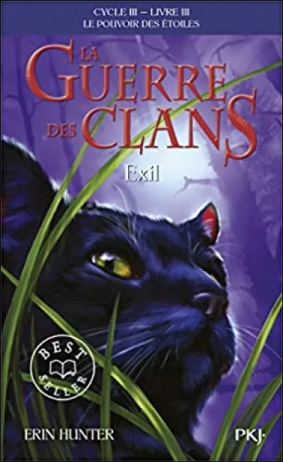 Dans la nouvelle couverture de"Exil", qui est le chat ?