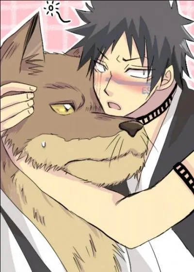 Pour qui a-t-il le bguin ?