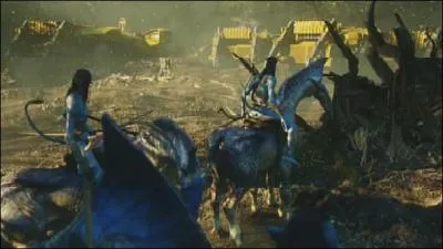 Quelques fois, il est prfrable de voir la vie en rose, le bleu peut avoir des reflets sanglants !