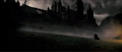 Les Mangemorts, Severus Rogue en tte, quittent alors prcipitamment Poudlard. Harry Potter,  la fois choqu et compltement drout, poursuit le Prince de Sang-Ml dans les couloirs de l'cole. Quel sortilge magique Harry Potter lance-t-il sur Severus Rogue avant que ce dernier ne le contre, mettant Harry Potter sur le reculoir ?