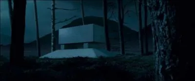 Dbut Juillet 1997, un dernier hommage est rendu  Albus Dumbledore. Des funrailles magiques sont clbres en l'honneur du directeur de Poudlard, dans le parc de l'tablissement,  proximit du lac. Albus Dumbledore est enterr sur une petite le, au milieu du lac, en prsence de toutes les personnalits de la communaut magique. De quelle couleur sa tombe est-elle ?