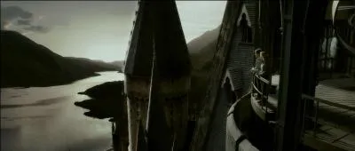 Enfin, toujours dans le film  Harry Potter et le Prince de Sang-Ml , le phnix d'Albus Dumbledore chanta une magnifique lamentation en l'honneur de son matre qui mut les sorciers prsents lors des funrailles. Comment s'appelle ce phnix ?