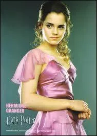 De qui Hermione est-elle amoureuse dans les derniers tomes ?