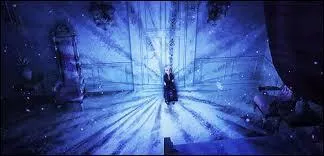 Que fait Elsa pour protger sa soeur ?