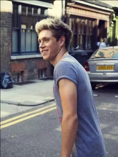 Quelle est la couleur naturelle des cheveux de Niall ?