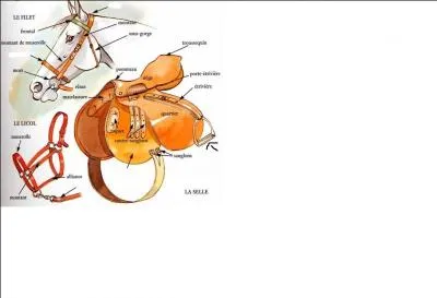 Comment s'appelle la partie du filet sur la photo en haut du montant ?