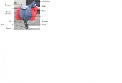 Comment s'appelle la partie de la selle en haut de la semelle ?