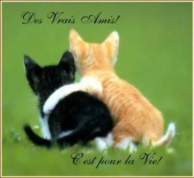 Qui sont les deux meilleures amies de Marion ?