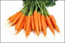 Qui adore les carottes ?