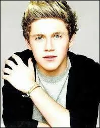 Quelle chanson Niall a-t-il chant  sa premire audition (X-Factor) ?