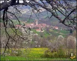 Vois avez entre les branches de cet arbre le village Ligrien de Saint-Just-en-Bas. Il se situe en rgion ...
