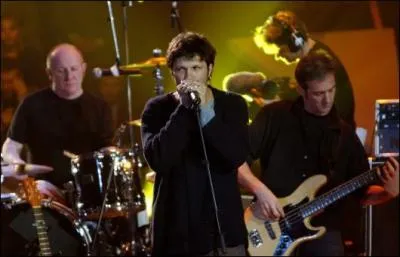 Dans le groupe  Noir Dsir , quel rle avait Bertrand Canta ?