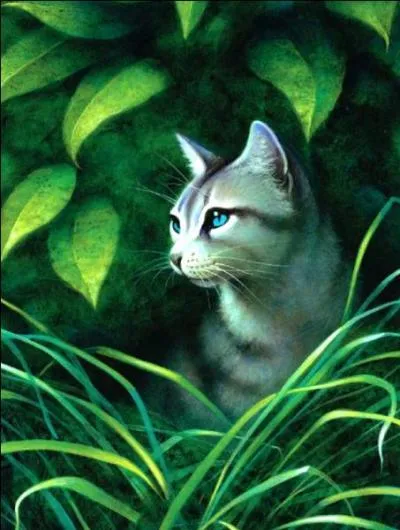 Quelles sont les erreurs dans cette image de Fleur de Lis (cycle 4) ?