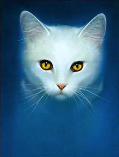 Quelles sont les erreurs dans cette image de Moustache de Sauge ?