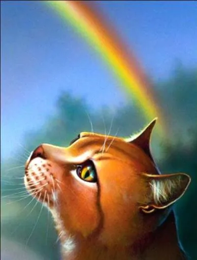 Quelles sont les erreurs dans cette image de Plume de Flamme ?