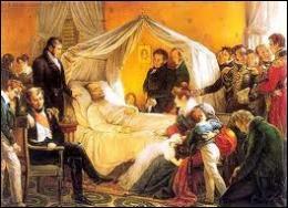 Selon les historiens quelle serait la cause la plus probable de la mort de Napoléon ?